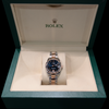 Ladies Fluted Two Tone Rose Gold Oyster Rolex Datejust 31mm - Rhodium Pave6 Diamond Roman Dial